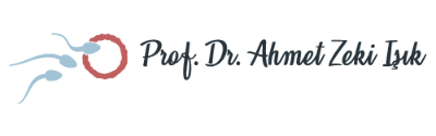 Prof. Dr. Ahmet Zeki Işık - Tüp Bebek Uzmanı