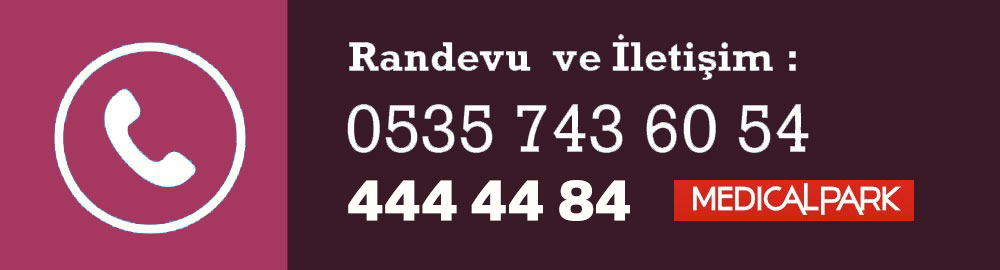 Tüp bebek tedavisinde ilk adım